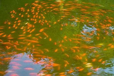 Steam版《那由多之轨迹：改》新宣传片 5月26日发售