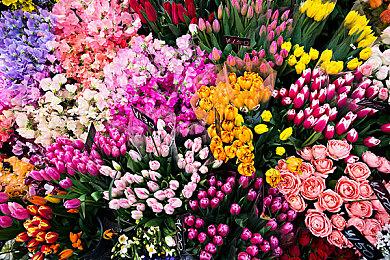 《斯普拉遁3》公布入门介绍视频 游戏9月9日发售